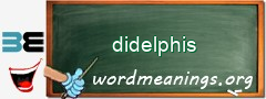 WordMeaning blackboard for didelphis